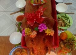 Heo Quay Cúng Nhà Đầu Năm
